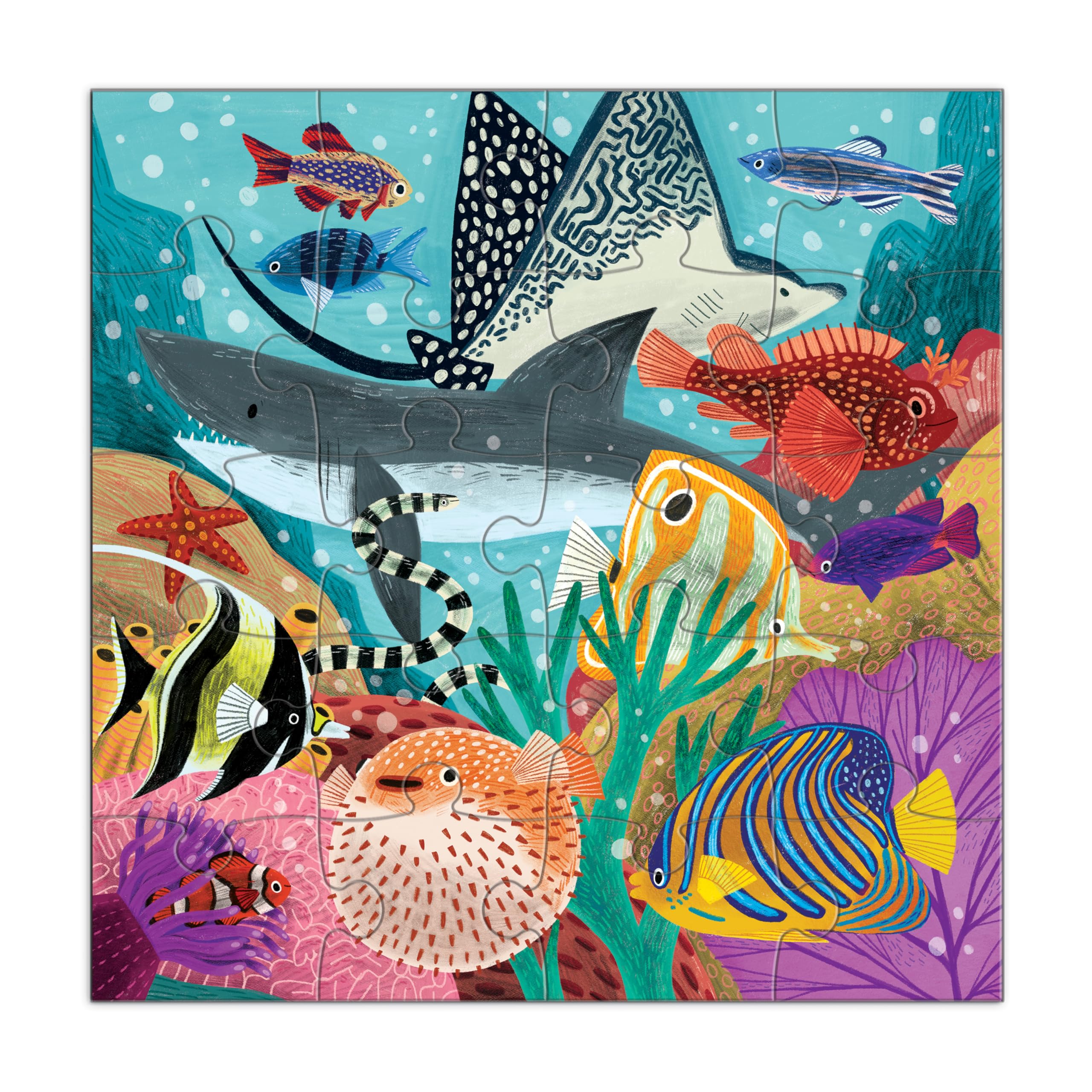 Amazon.com: Mudpuppy Depth of The Seas - Tri Fold Magnetic Puzzles