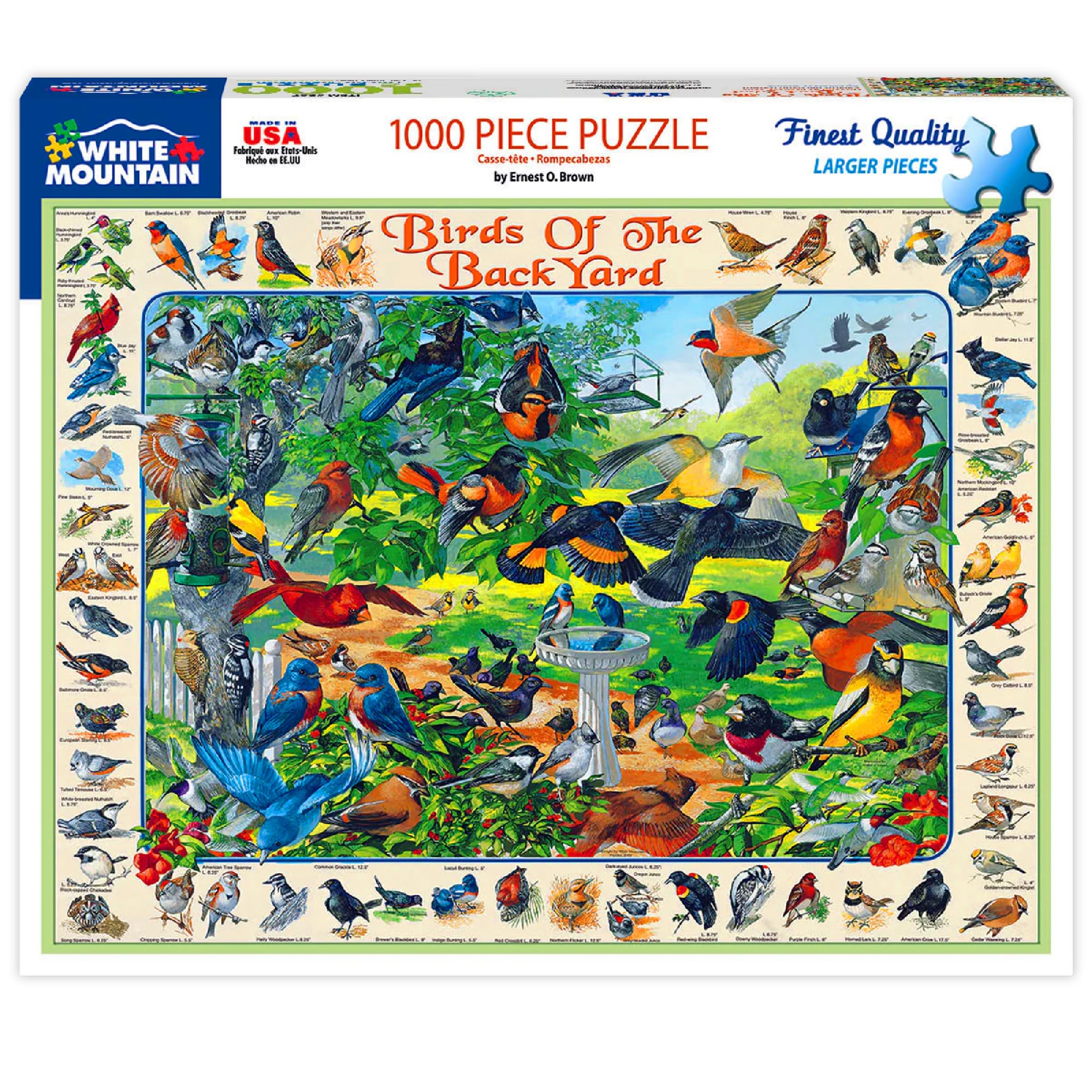 White Mountain Puzzles Birds of the Backyard - 1000 Piece Jigsaw Puzzle