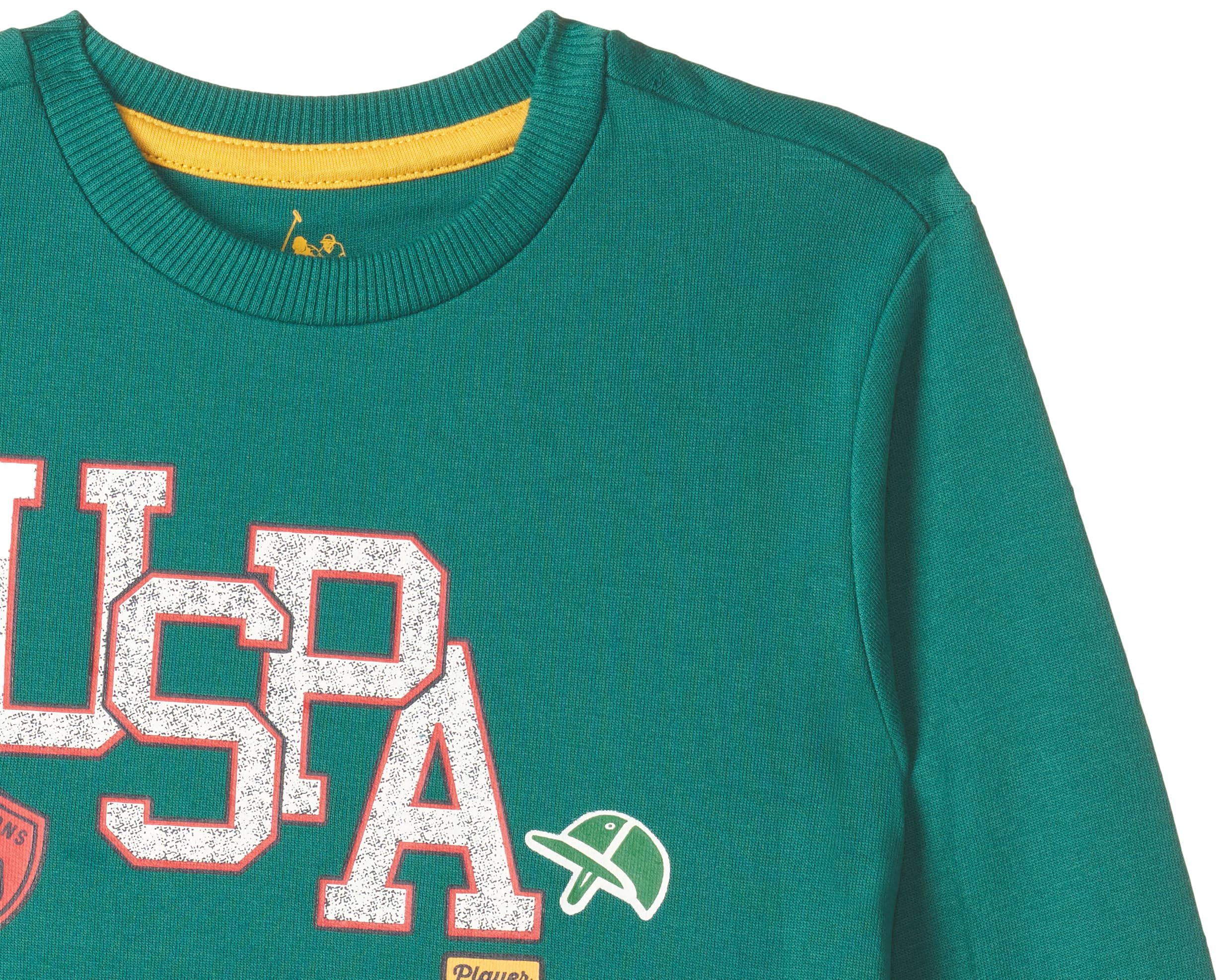 U.S. POLO ASSN. Boys Printed Cotton Looper Terry Printed Lt. Wt. Sweat Shirt (UKSWSON0136_ME. Green_12T) 1