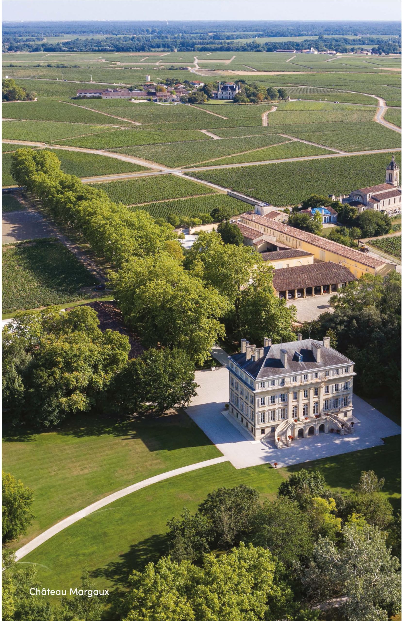 Bordeaux: The Smart Traveller's Wine Guide : A pocket guide to Bordeaux for the wine-interested tourist (Smart Traveller's Wine Guides)