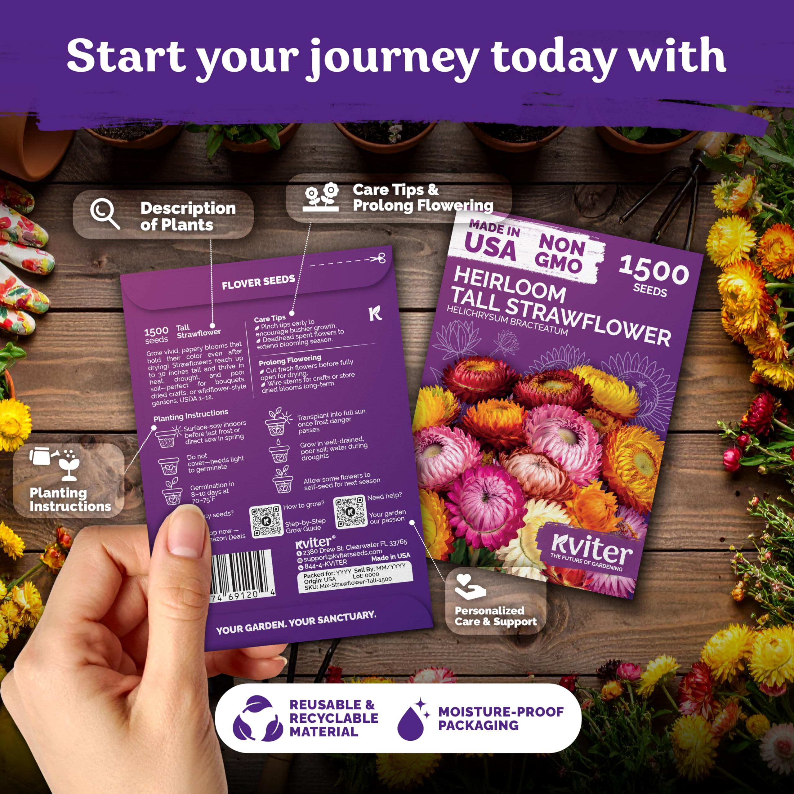 KVITER 1,500 Tall Mix Strawflower Seeds for Planting (Xerochrysum/Helichrysum Bracteatum) — Golden Everlasting Flower, Paper Daisy — Ideal Organic, Heirloom Cut Flower Seeds to Plant Outside & Drying