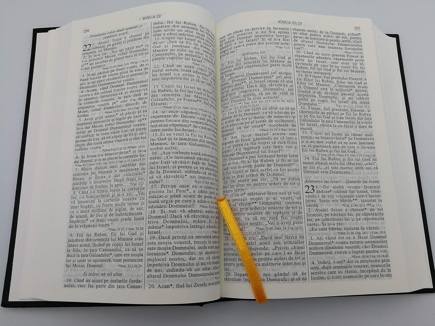 Romanian Midsize Hardcover Bible Words of Christ in Red / Biblia sau Sfanta Scriptura Cu Trimiteri / Cuvinte Domnului in rosu / Traducerea Dumitru Cornilescu revizuita ortografic 053 (2009-05-03)      Hardcover – January 1, 2009