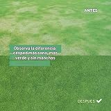 Ver la foto 5