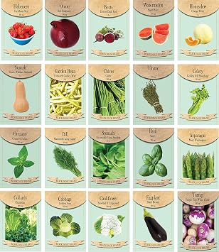 Set of 20 Assorted Vegetable & Herb Seed Packets - Create a Deluxe Garden Heirloom Seeds - 100% Non-GMO 20