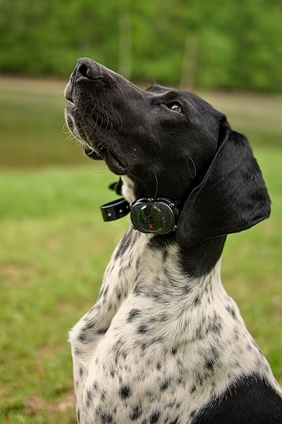 dt systems micro idt plus