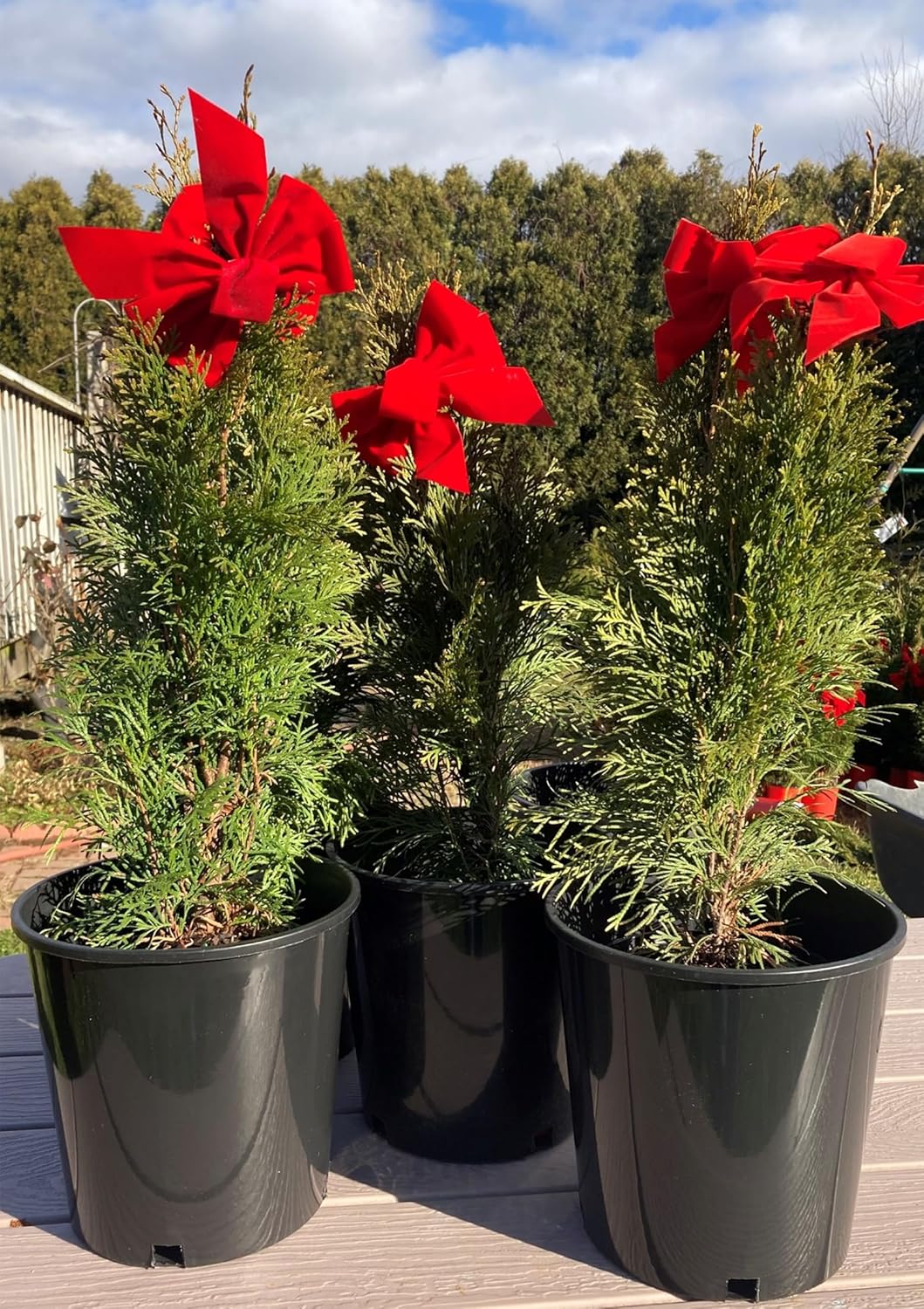 Black Nursery Pots, 2 Gal 10 PCS Pack, Plastic Garden Planters, Pots for Flower Seedlings, PP Injection Molded, Indoor Outdoor Plants Seedlings