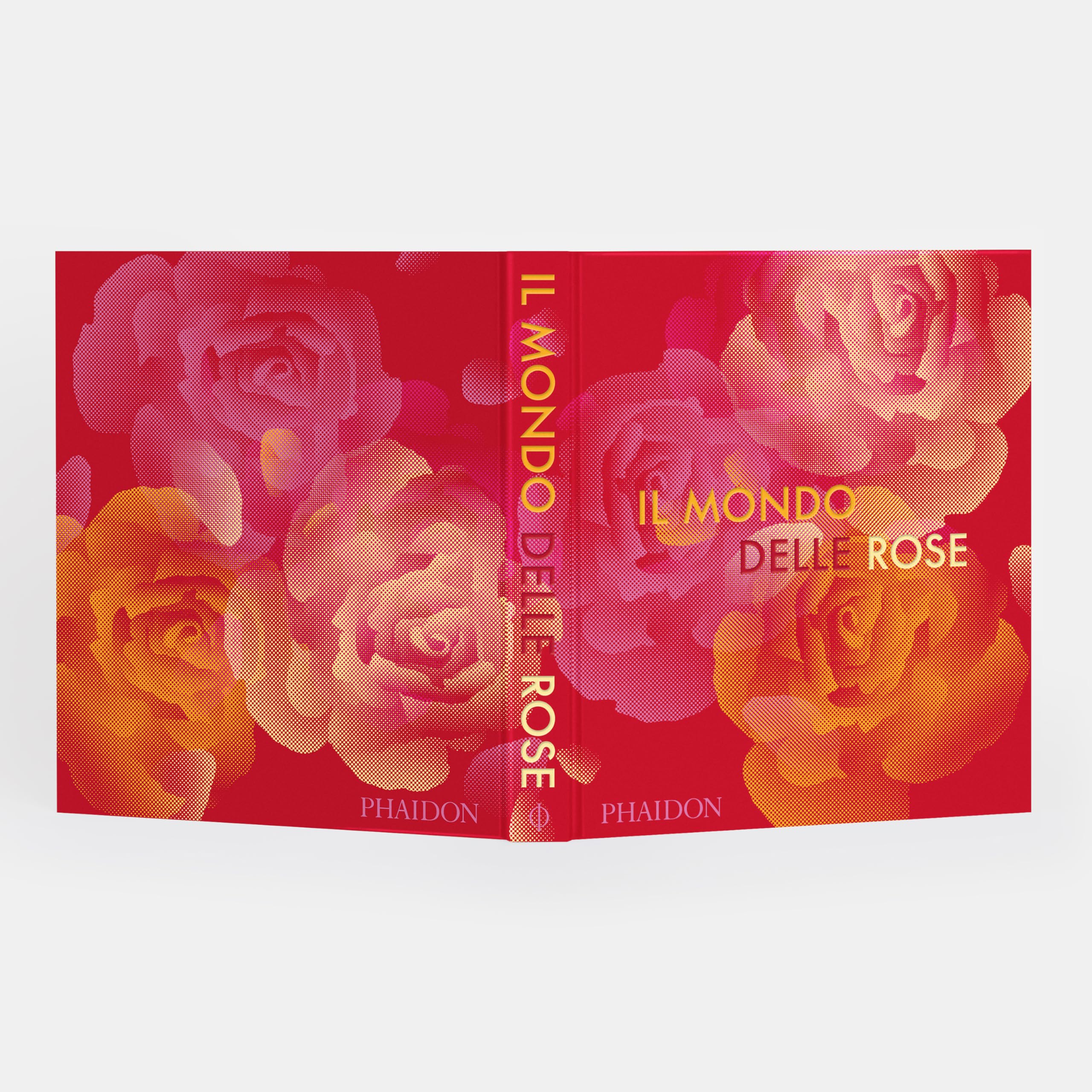 Il mondo delle rose