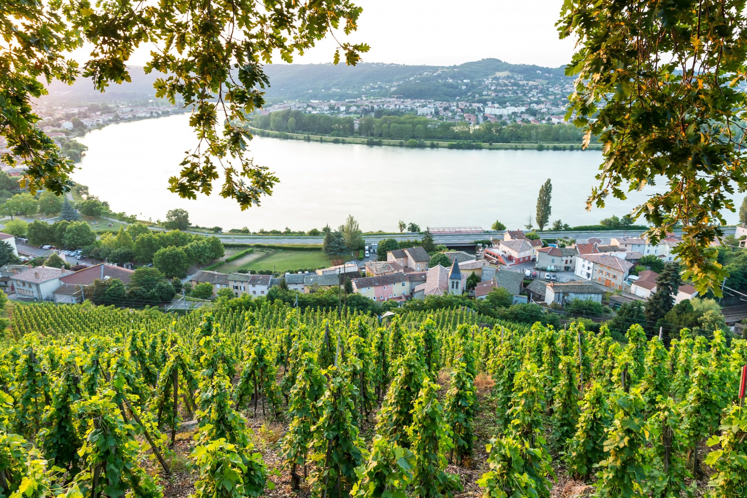 Delas Frères Crozes-Hermitage Les Launes Syrah Rhone Wein trocken (1 x 0.75 l) (Packung mit 6)