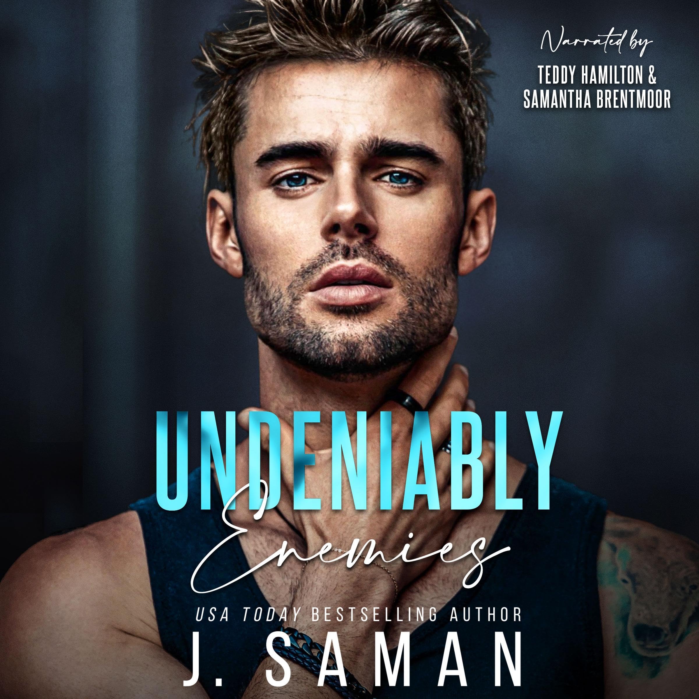 Cover art for Undeniably Enemies