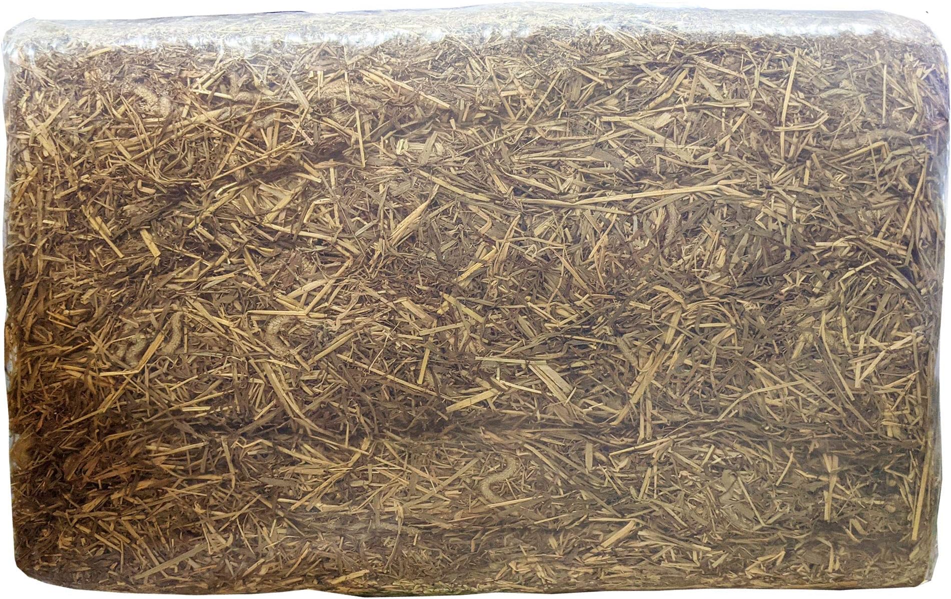 Hay Bale 10Kg - Horse Hay Bale