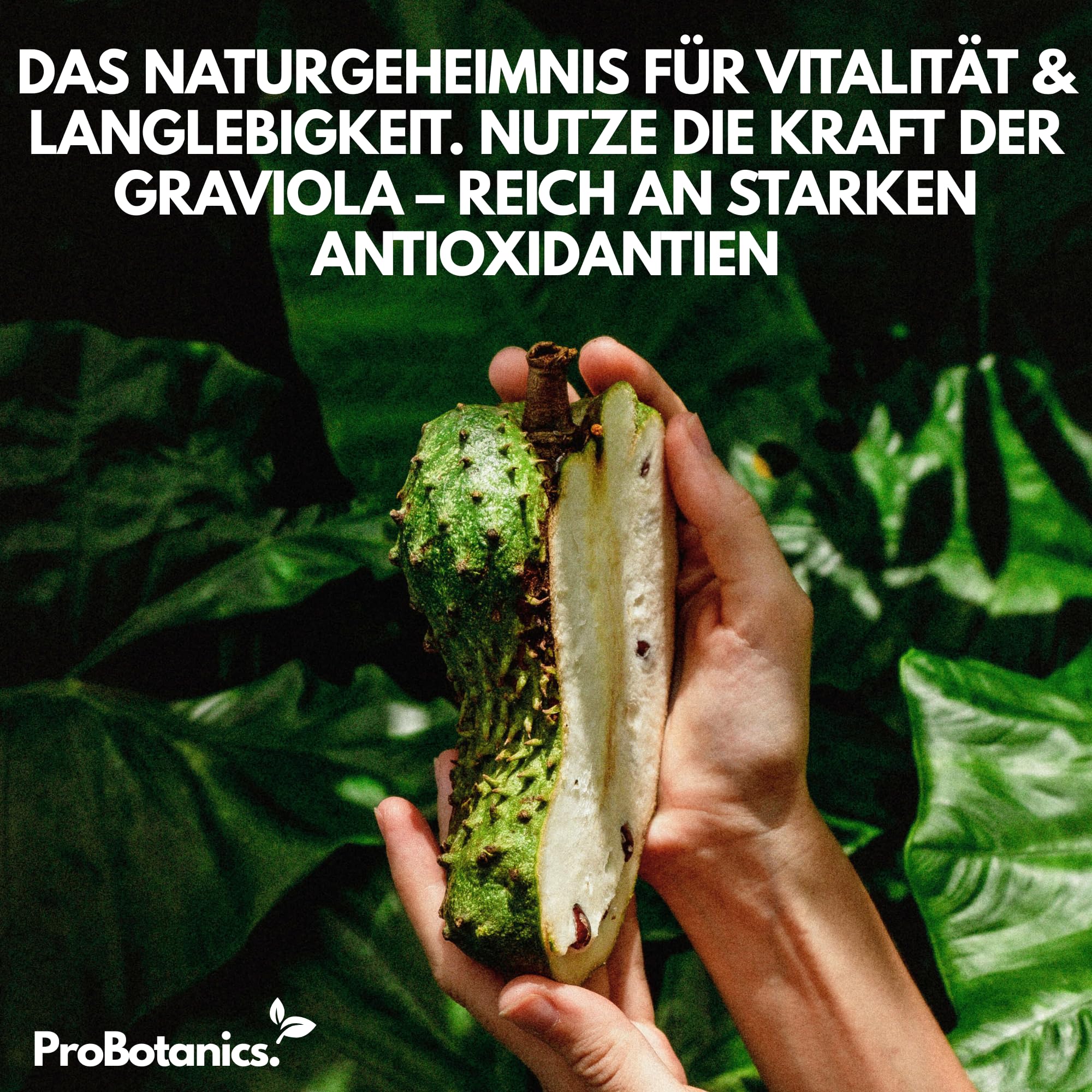 Graviola Tropfen für Zellunterstützung & Regeneration | Hochdosiert 600mg pro Portion (30:1 Extrakt entspricht 18000mg) | Starkes Antioxidans & Immununterstützung - Monatsvorrat - 60ml