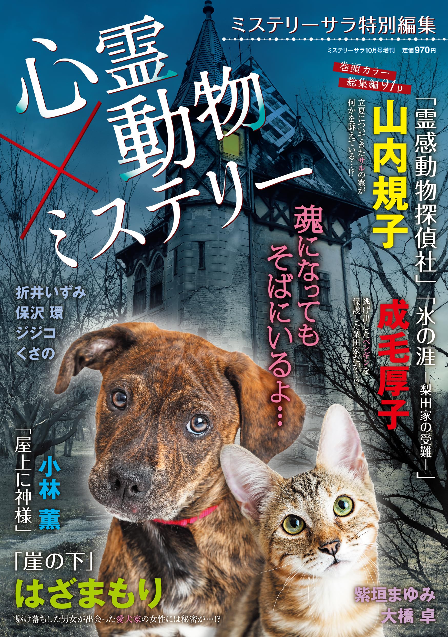 霊感動物探偵社 13 霊感動物探偵社13（LGAコミックス） | 山内規子 |本 | 通販 | Amazon