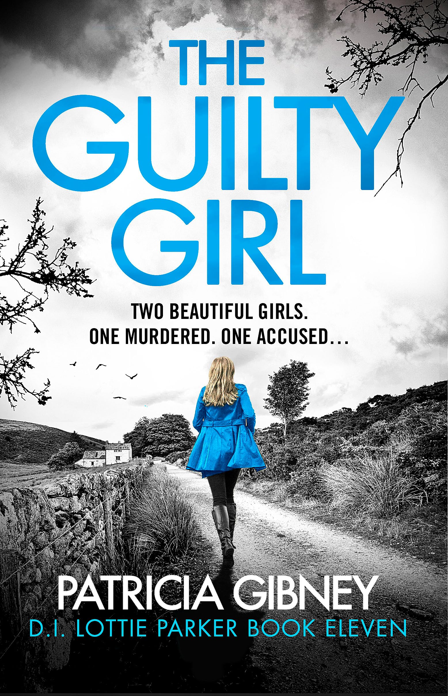 The Guilty Girl : An utterly gripping and unputdownable serial killer thriller