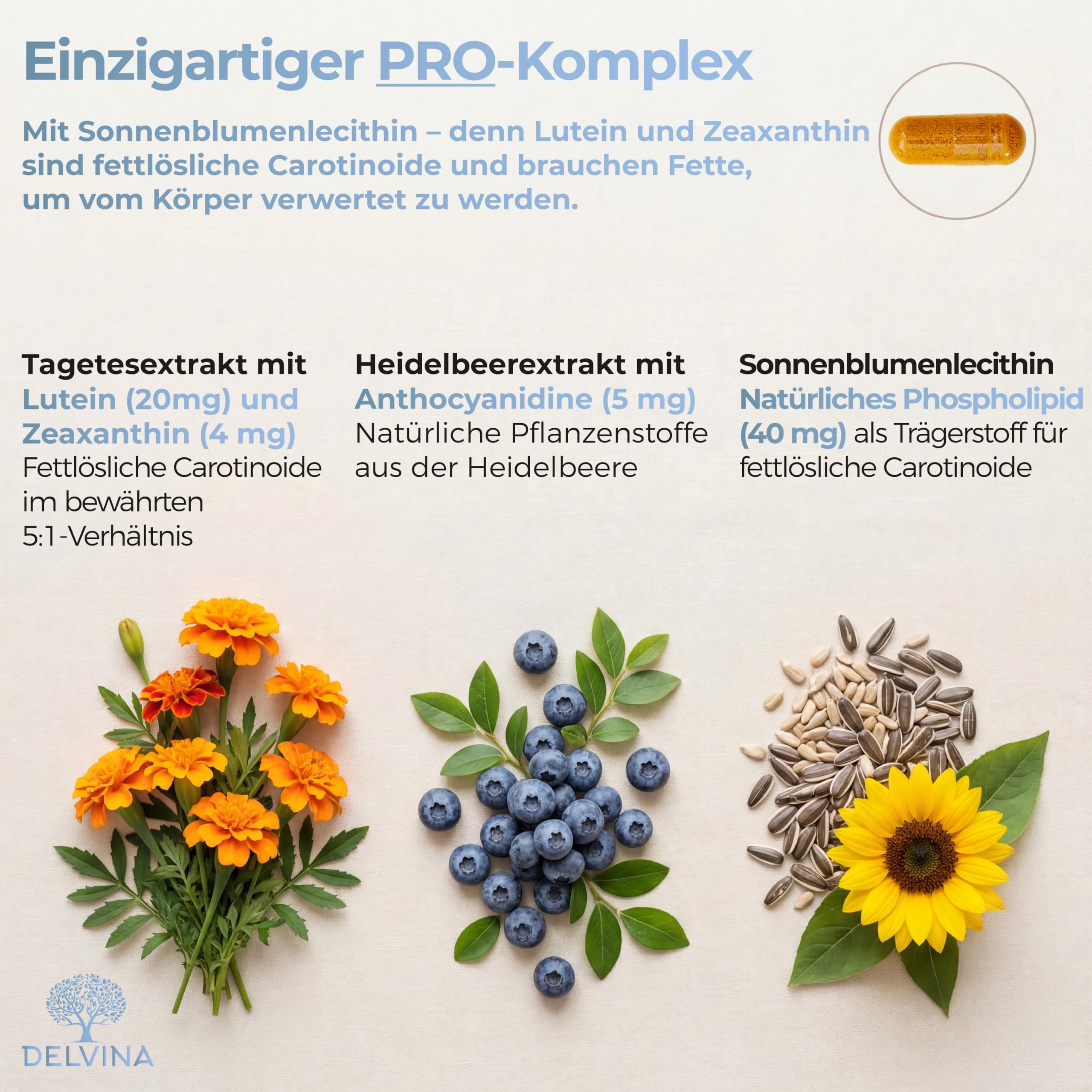 Augen Komplex PRO - Augenvitamine mit Lutein, Zeaxanthin, Anthocyanidine (Heidelbeere) & Vitamin A, E, B2 & Zink - 120 Augen Kapseln für 4 Monate - Vegan, Hochdosiert, 100% Natürlich