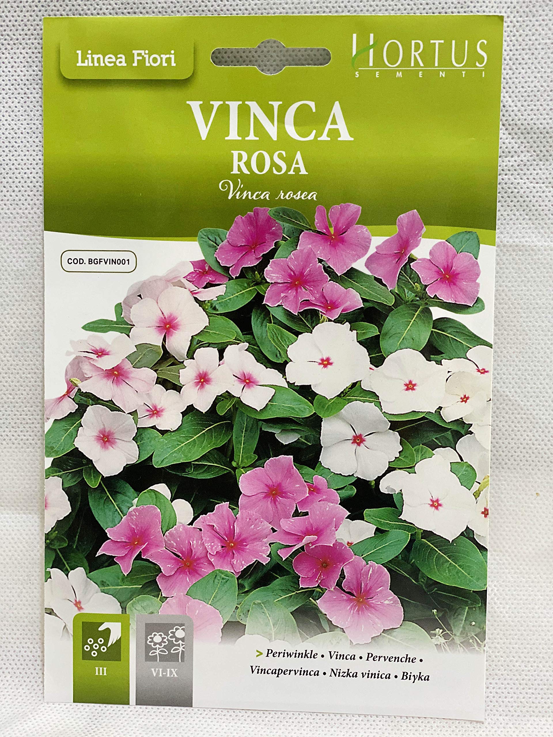 Ritaj Vinca rosea Seeds