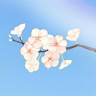 [Single] 茉ひる – 天気雨／百日草 (2026.04.08/MP3+Flac/RAR)