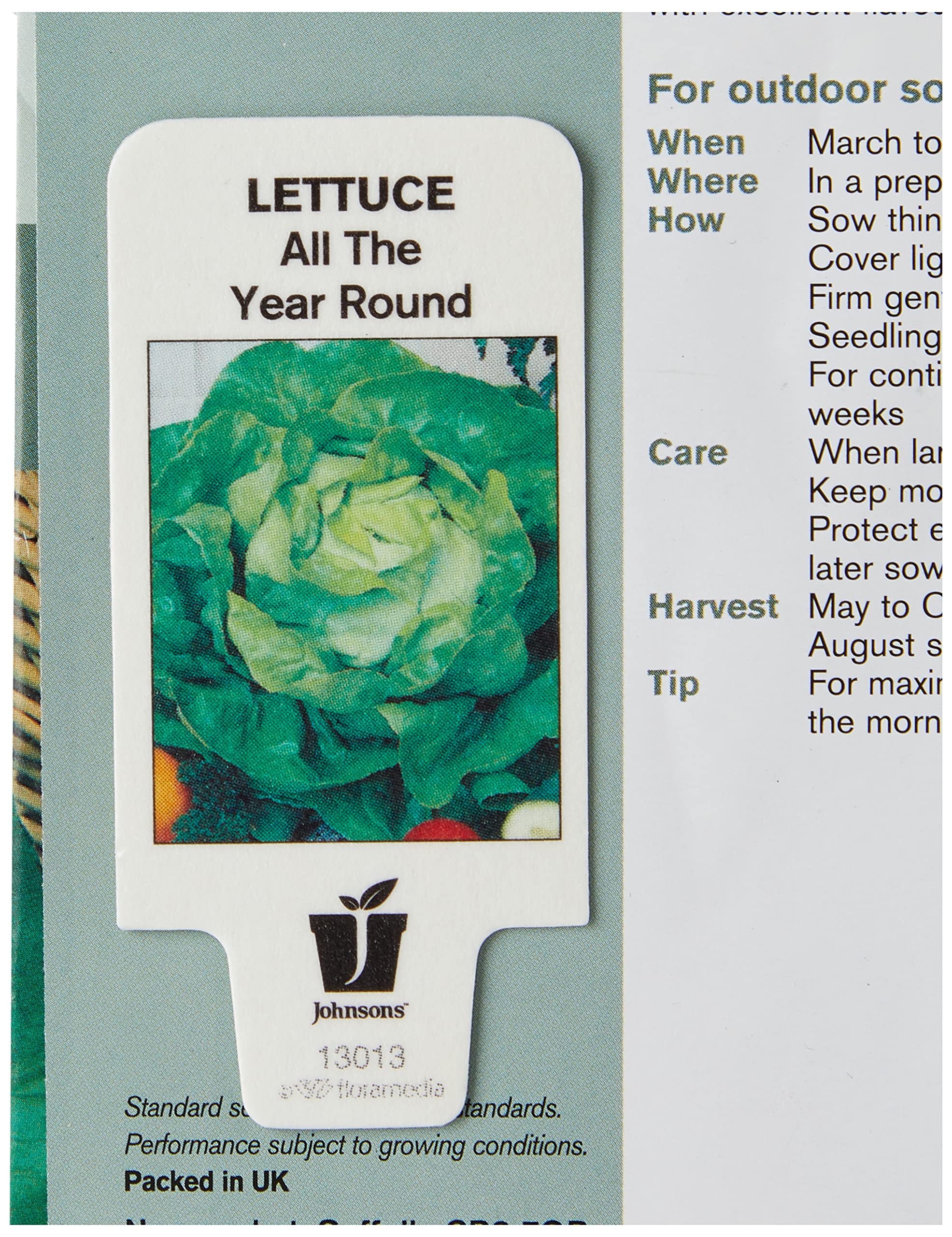 Johnsons 12033 Vegetable Seeds, Lettuce All The Year Round Buy Online