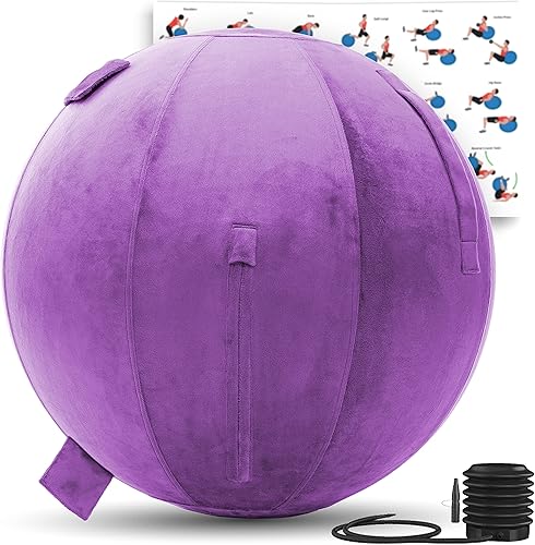 Miniatura 50 de Husband Pillow Pelota de ejercicio, cubierta con bomba para yoga, pilates, estabilidad de equilibrio de fitness, asiento de silla de pelota de