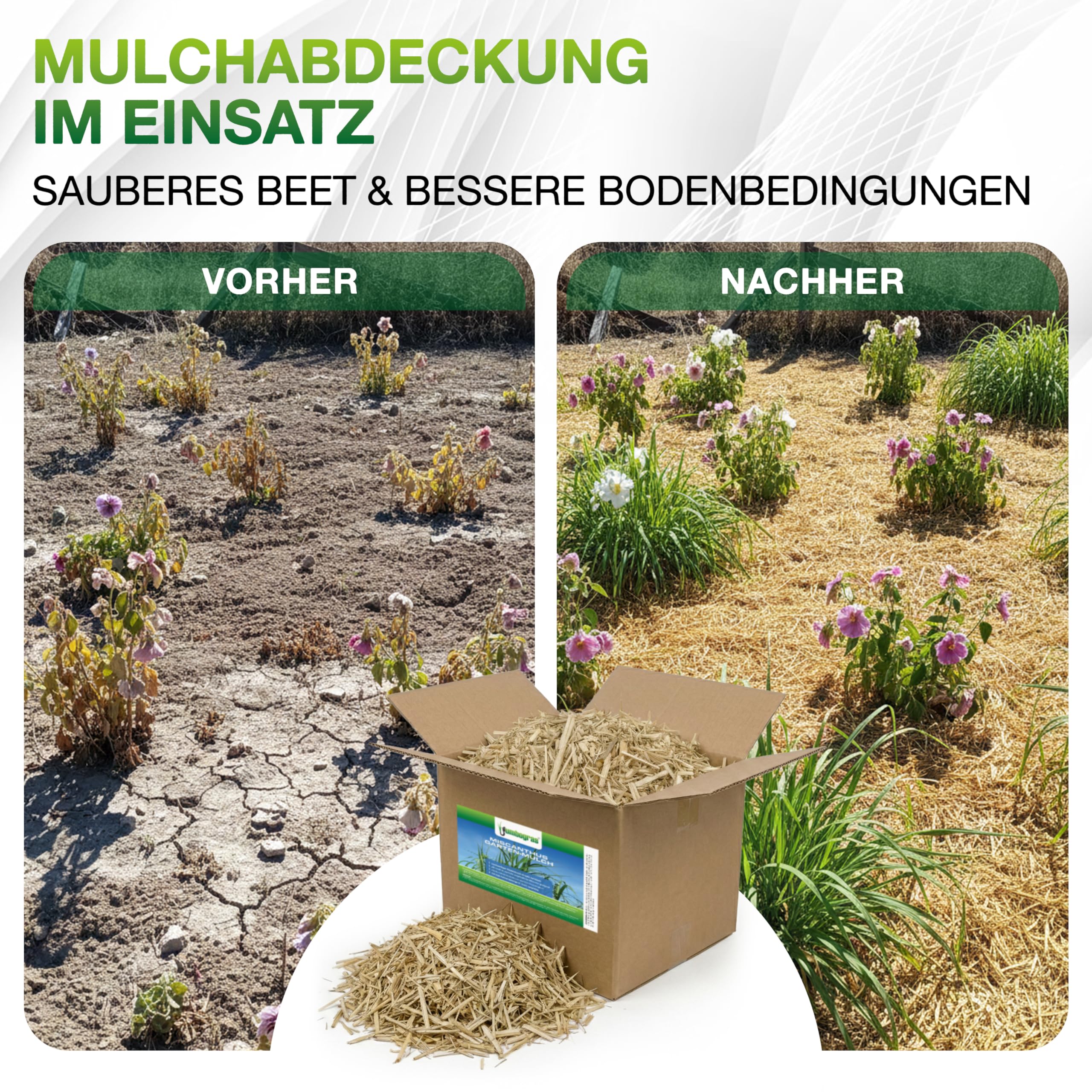 Jumbogras Miscanthus-Mulch 170 L – Rindenmulch-Alternative aus Chinagras/Elefantengras Häcksel – äußerst pflanzenverträglich – geeignet für Gemüse, Kräuter & co. – Schutz vor Unkraut & Austrocknung