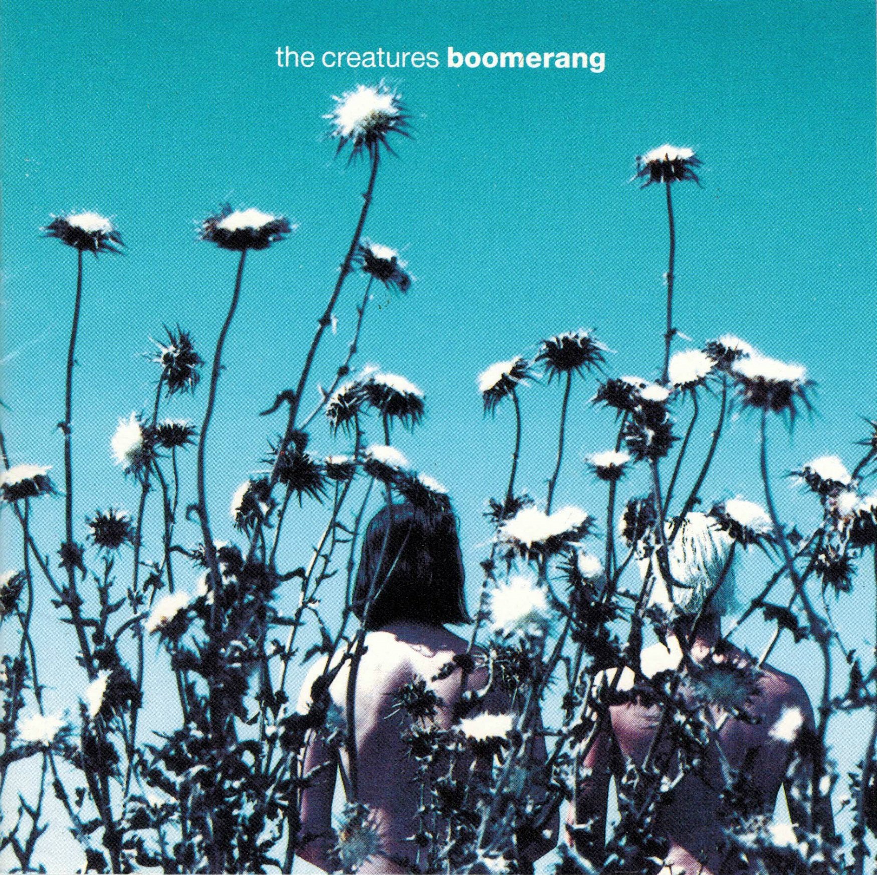 Boomerang