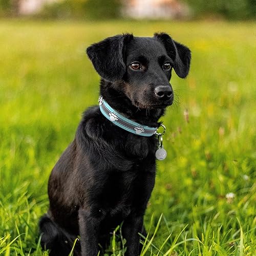 Miniatura 2 de Collar reflectante para perro con lindo remache de pata tachonado, divertido collar ajustable de piel sintética suave para cachorros pequeños,