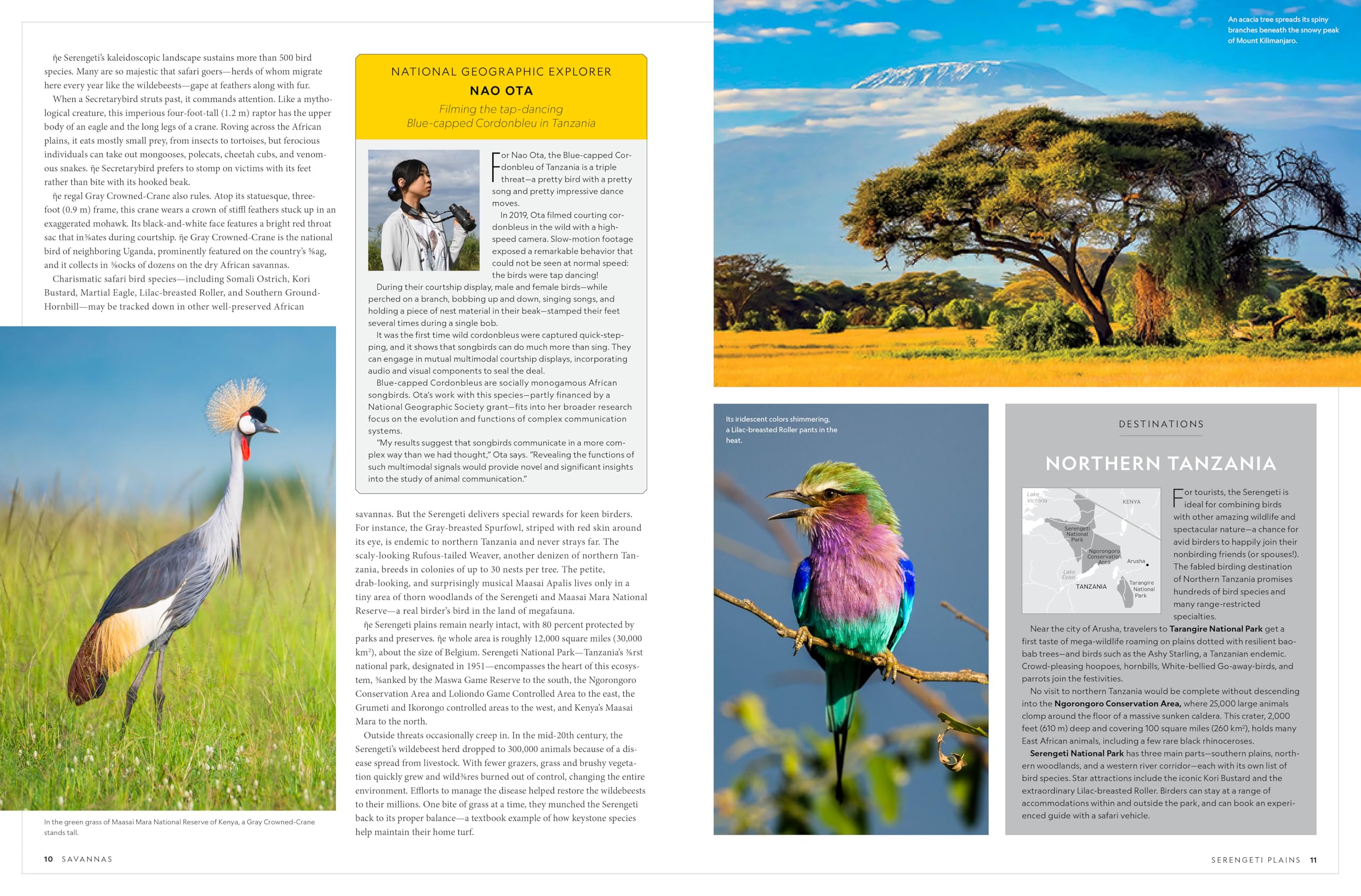 National Geographic Birder's Atlas of the World