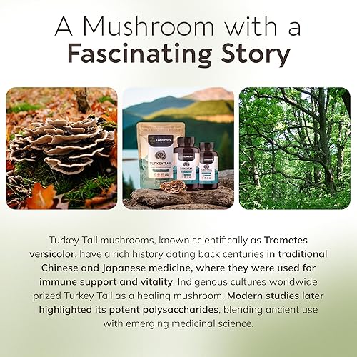 Miniatura 7 de Organic Turquía cola (Coriolus) Mushroom orgánico 100% extracto polvo: USDA cuerpo en la planta. Small Batch, produced Fresh. Potente. sentir la