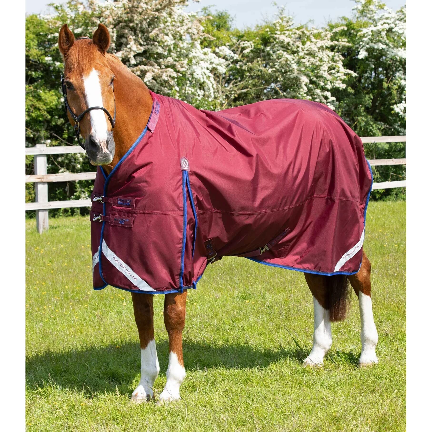 Coperta impermeabile per cavalli con copricollo Premier Equine Buster 40g