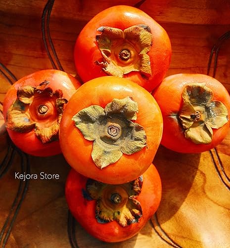 Vista 7 de KEJORA Caquis Fuyu frescos (7 libras)