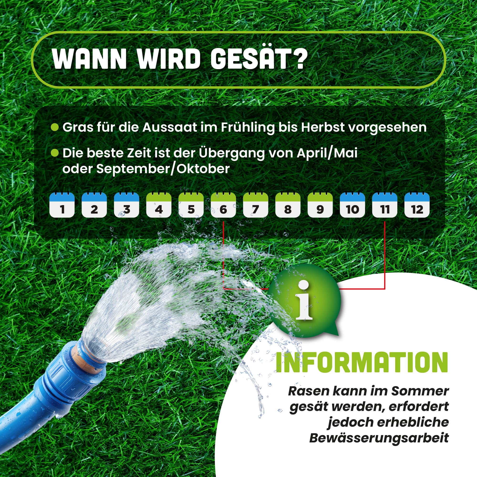 Rasensamen 5kg für Trockenrasen & Schattenrasen für 200m² - Samen Trockenheitsresistente - Rasen schnellkeimend - Grassamen verbraucht 20% weniger Wasser - Robust Gras - Samen für Neuansaat & Nachsaat