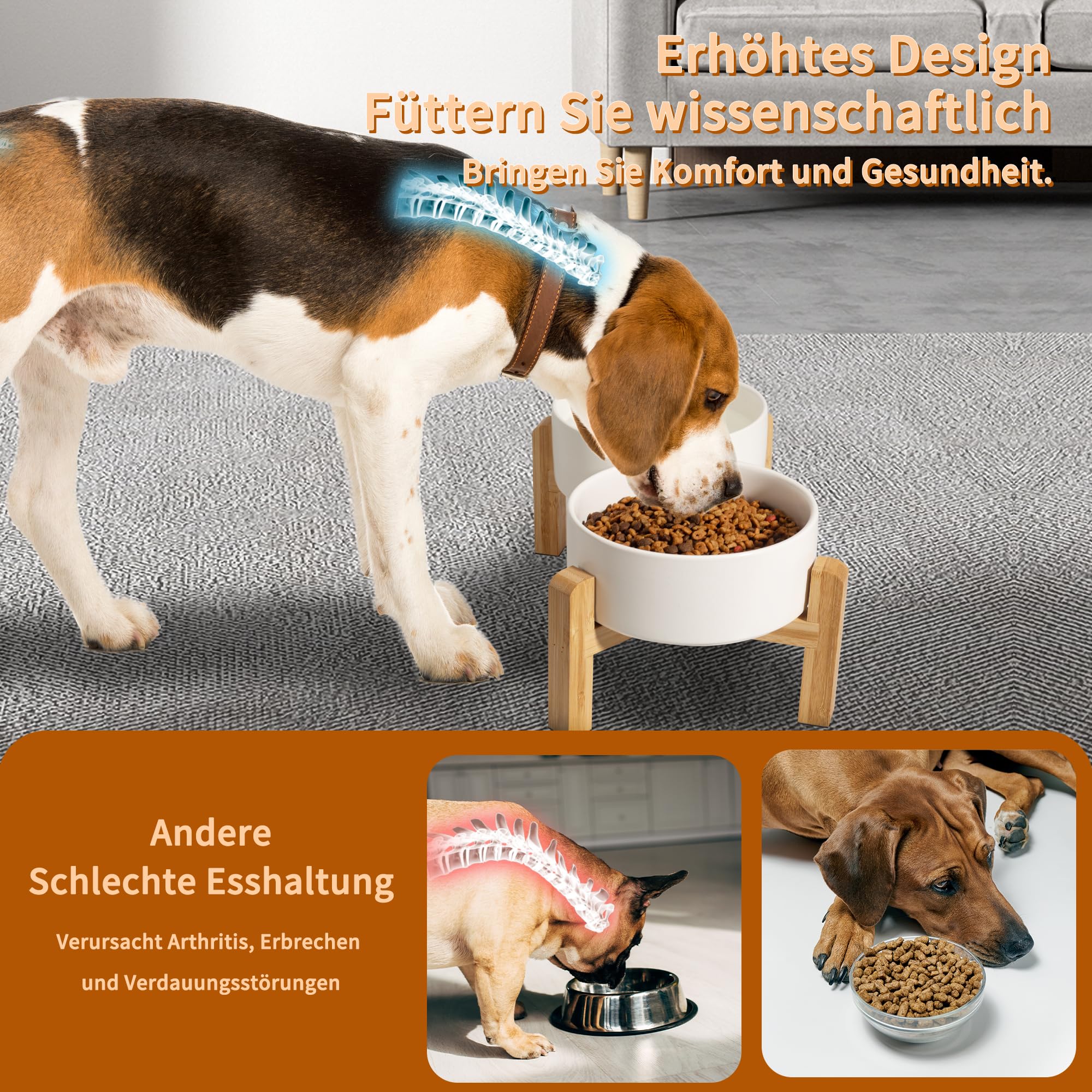 Hundenapf Set Erhöht Hunde Napfset - Doppel Napf Hund Keramik mit rutschfestem Ständer - Erhöhte Futterstation Hund 2er Set für Futter und Wasser - Ideal für kleine und mittelgroße Hunde - 2 x 850 ml
