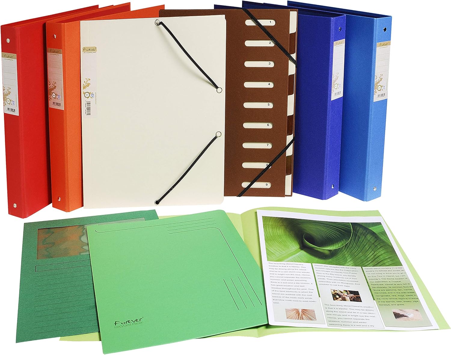 Exacompta - Ref 48000E - Forever Collection - Slip File - 220 x 310mm in Size, Suitable for A4 Documents, 290gsm Recycled Board - Assorted Colours (Pack of 5)