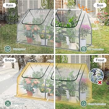 Amazon.com : Aoodor 6 x 3 x 3 ft Mini Greenhouse with 2 Zipper