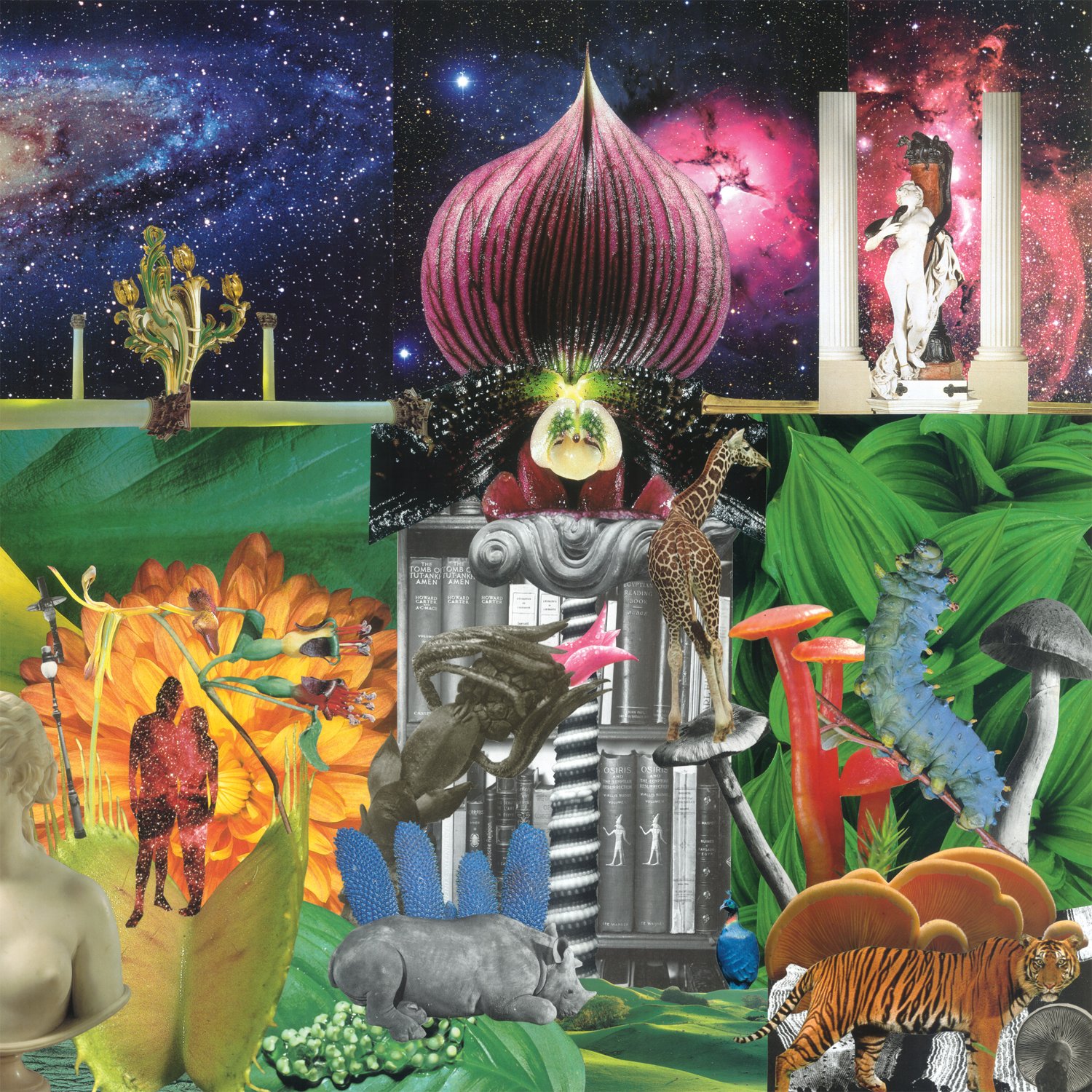 New Magnetic Wonder [Audio CD] APPLES IN STEREO
