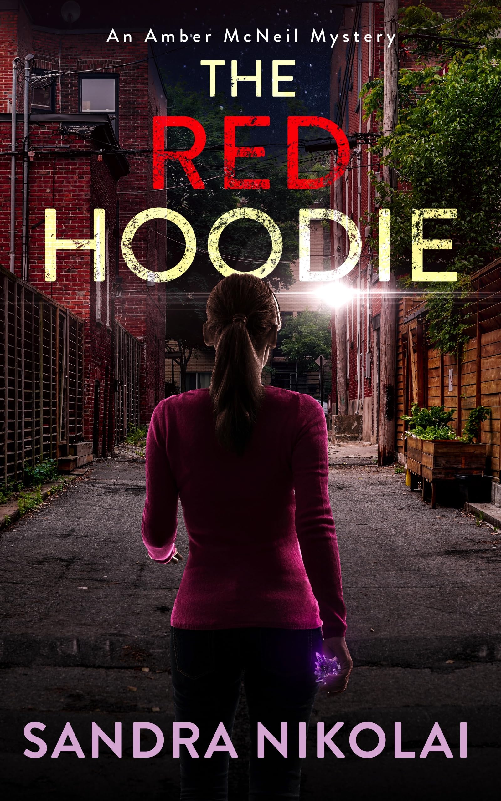 The Red Hoodie (An Amber McNeil Mystery Book 2)