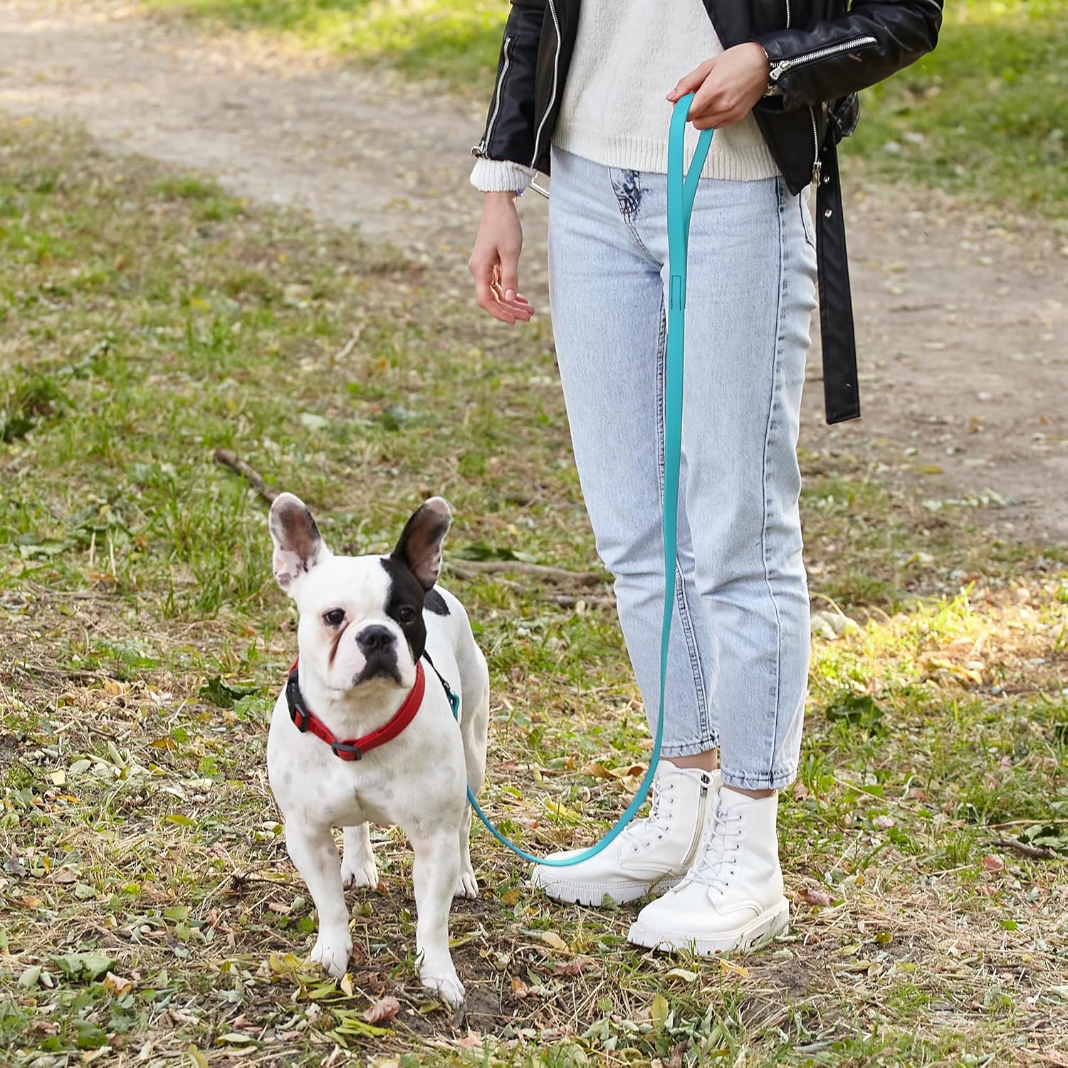 Dogline Biothane Waterproof Dog Leash Strong Coated Nylon Webbing with Black Hardware Odor-Proof Easy to Clean High Performance for Small or Large Dogs Made in USA 4 or 6 ft Lead, Sky Blue