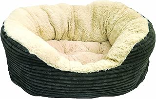 Rosewood Jumbo Cord / Plüsch Hund im test