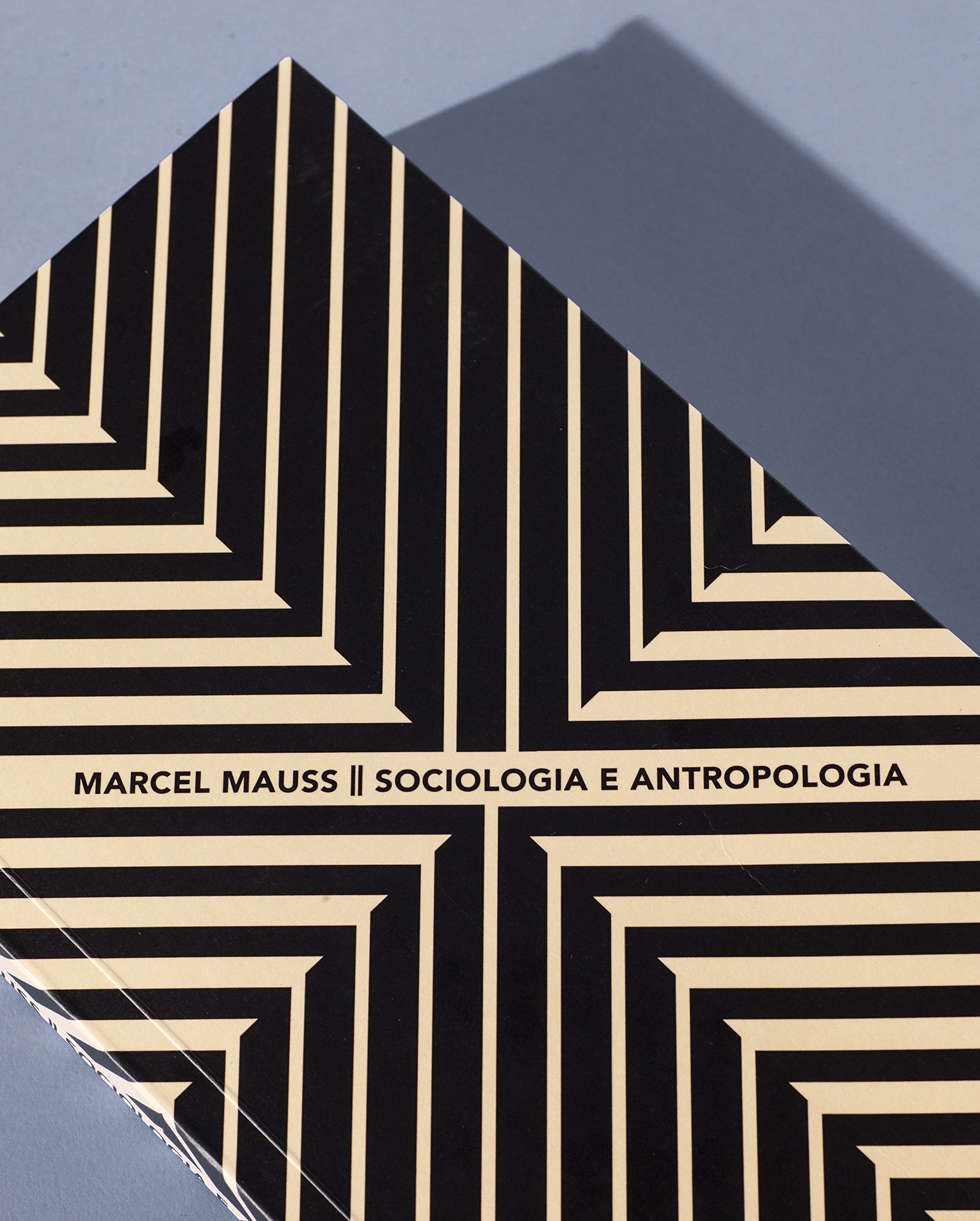 sociologia e antropologia