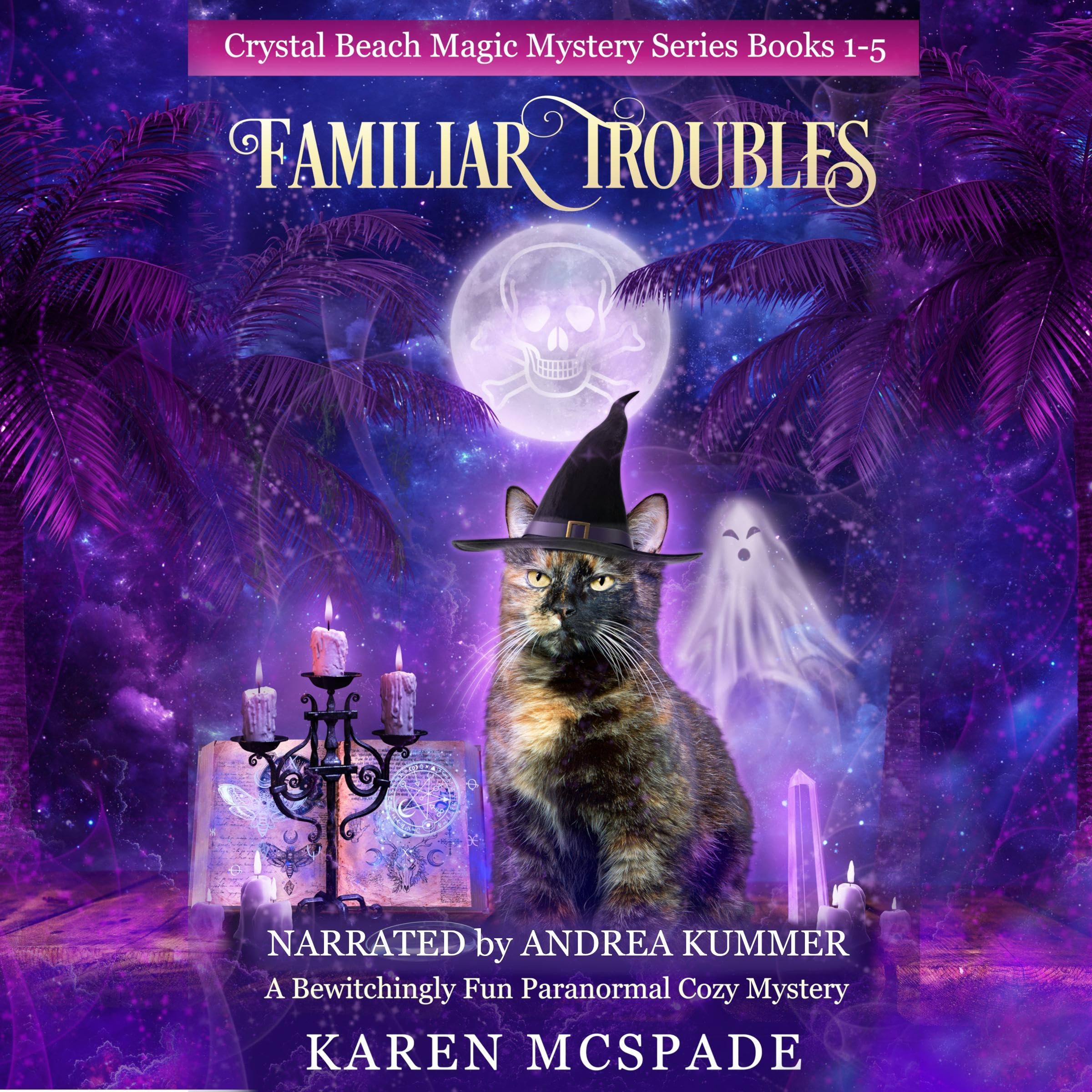 Cover art for Familiar Troubles