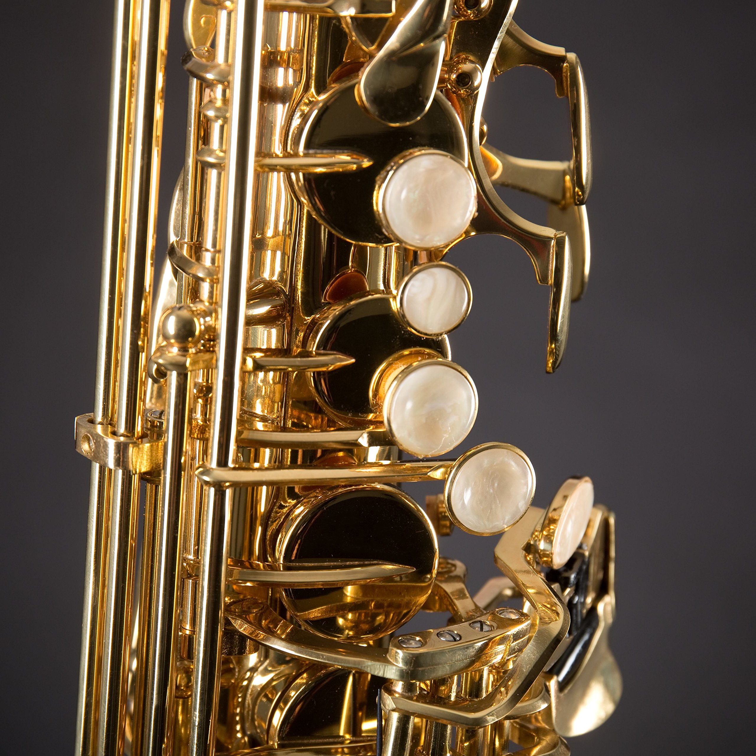 Monzani MZAS-350Y Alt Saxophon, Professioneller Klang, Leichtgängige Mechanik, Pisoni Polster, Inklusive Mundstück, Wischer, Koffer, Gurt, Messing, Klarlack lackiert, Graviert, Stimmung Eb