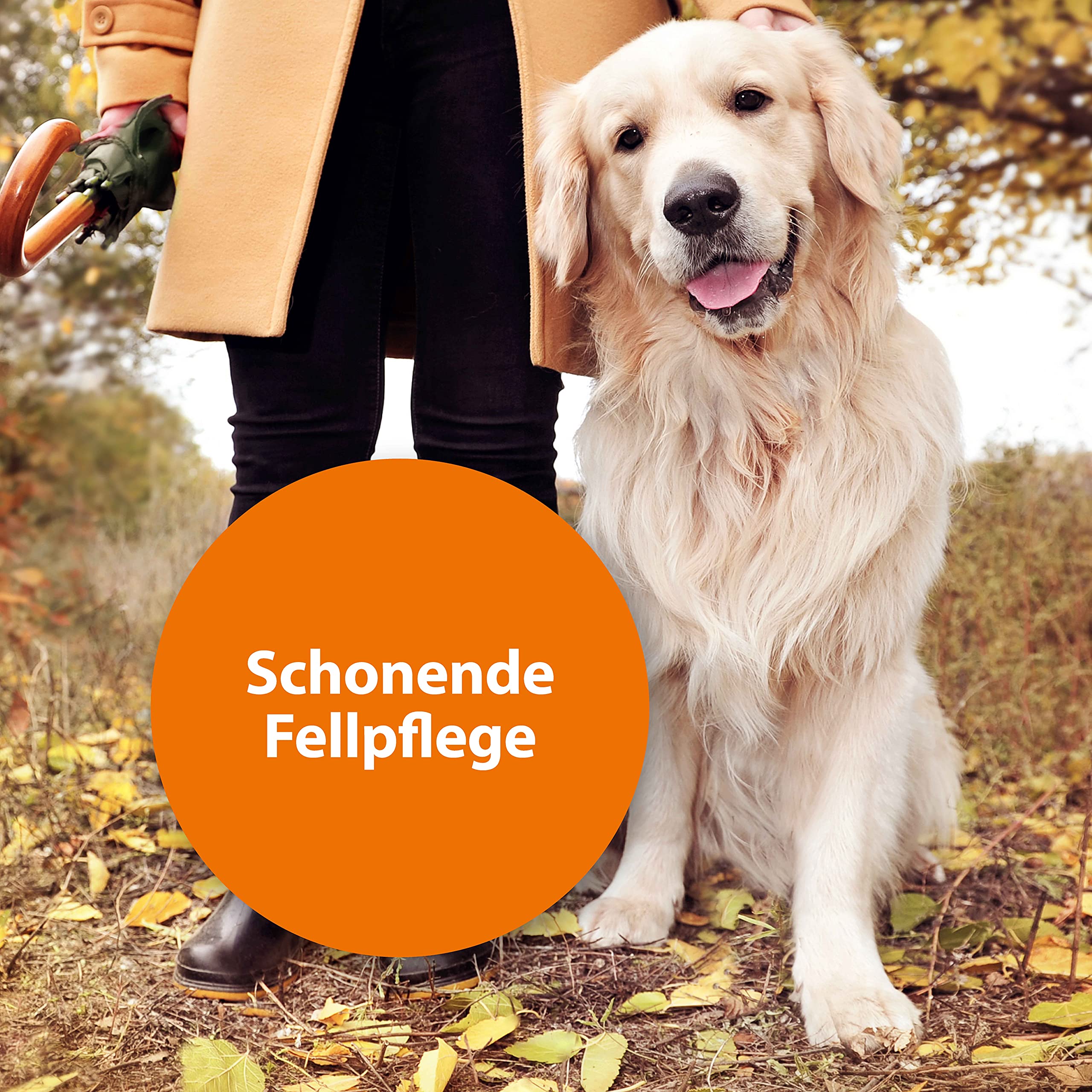 ARDAP Peigne anti-puces et peigne à poussière pour chiens et chats - Efficace contre les puces et les poux - Soin professionnel et doux du pelage