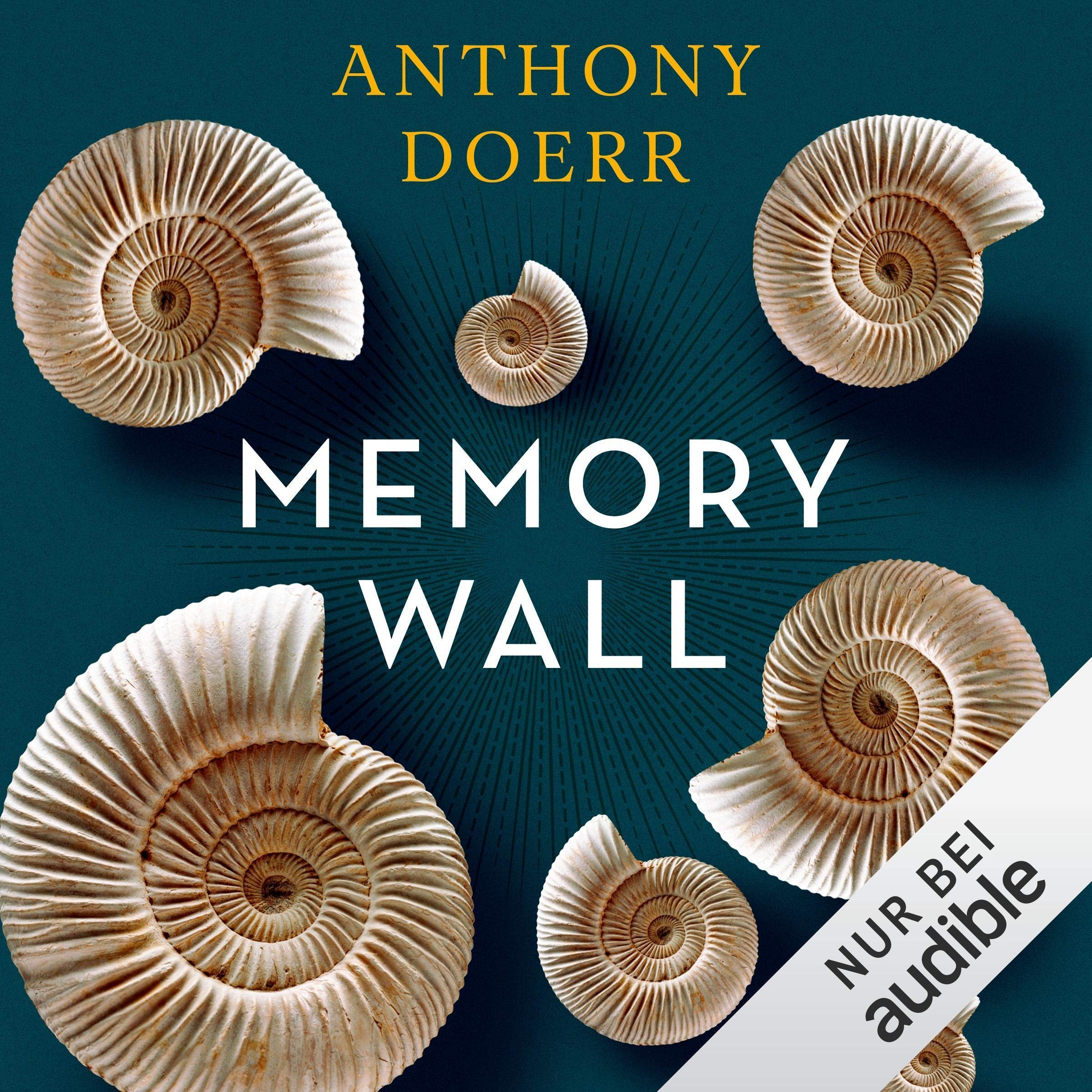 Memory Wall