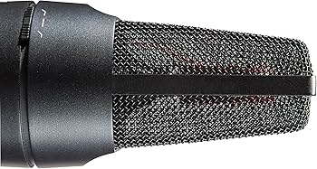 Amazon.co.jp: sE Electronics X1 S コンデンサーマイク【国内正規品