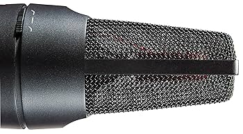 Amazon.co.jp: sE Electronics X1 S コンデンサーマイク【国内