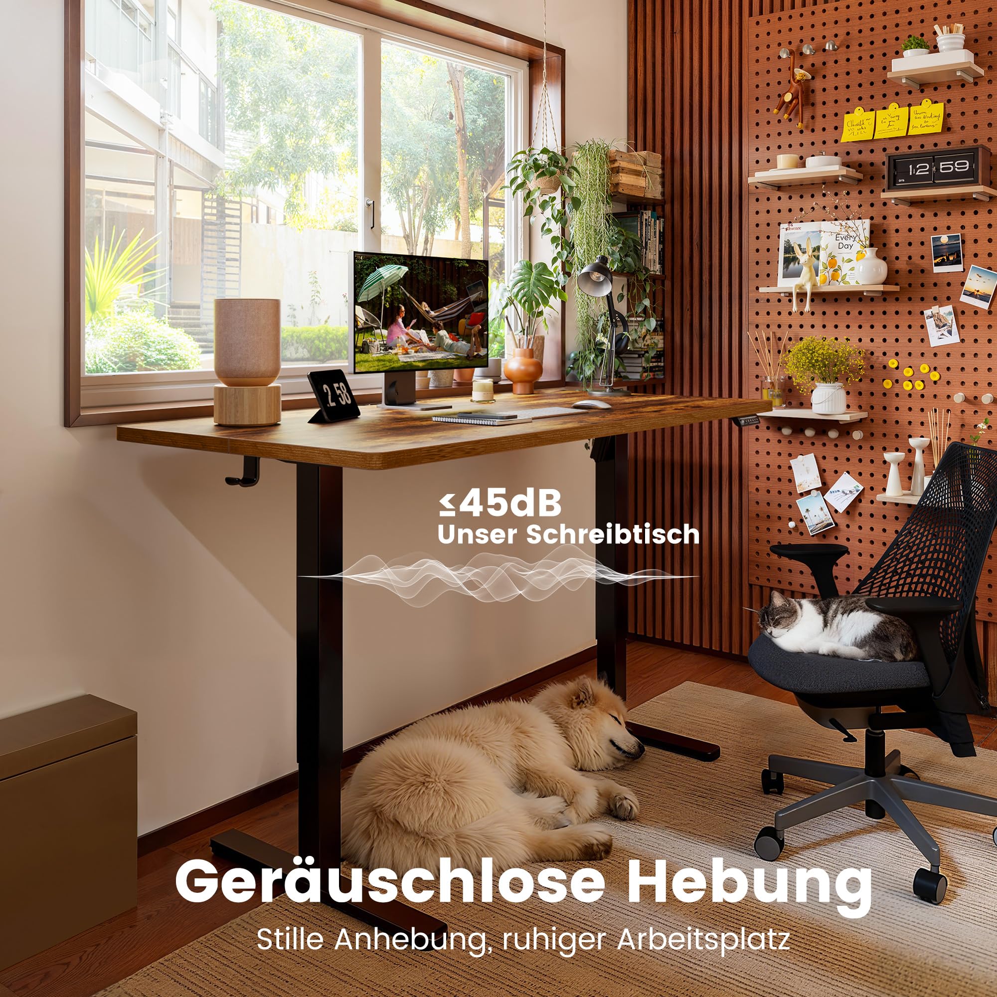 ErGear Elektrisch Höhenverstellbarer Schreibtisch 160 x 80 cm, Schreibtisch Höhenverstellbar mit 4-Gedächtnis-Smart-Pult für Home-Office mit Verbindungsplatte