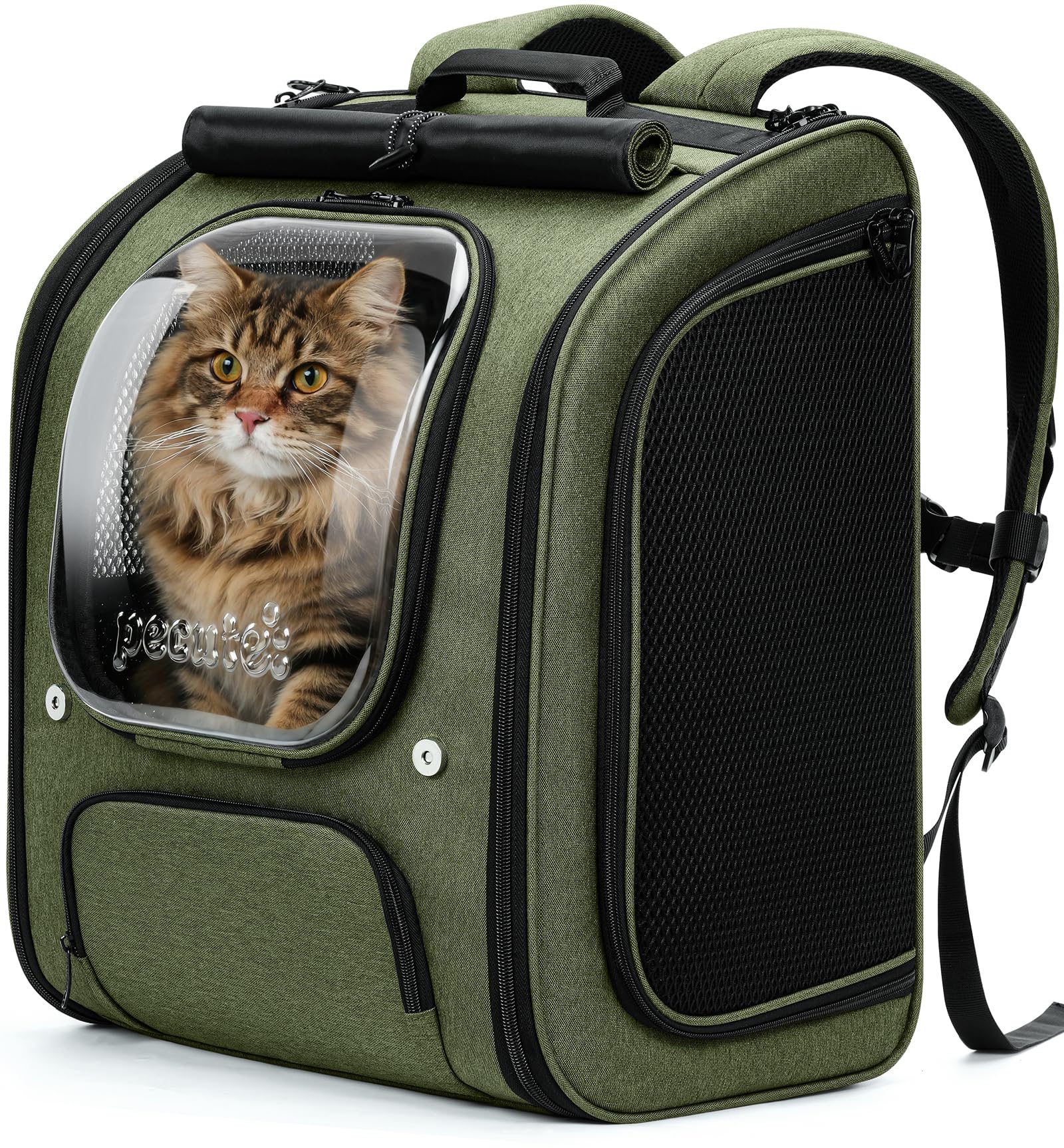 Pecute Bubble Cat Backpack, Large Space Cat Backpack Carrier with Breathable Mesh, Cat Carrier with Space Capsule Clear Window for Kitten and Puppy, Used in Travel Hiking Walking Outdoor,Green,XL