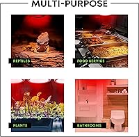 Vista 6 de Bombillas incandescentes de 250 W R40 (paquete de 2) - Lámpara de calor infrarroja para baño para pollos, pollitos, cachorros, reptiles, ganado