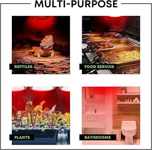 Miniatura 6 de Bombillas incandescentes de 250 W R40 (paquete de 2) - Lámpara de calor infrarroja para baño para pollos, pollitos, cachorros, reptiles, ganado