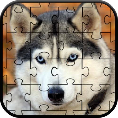 Husky Jigsaw Puzzle - medicalbooks.filipinodoctors.org