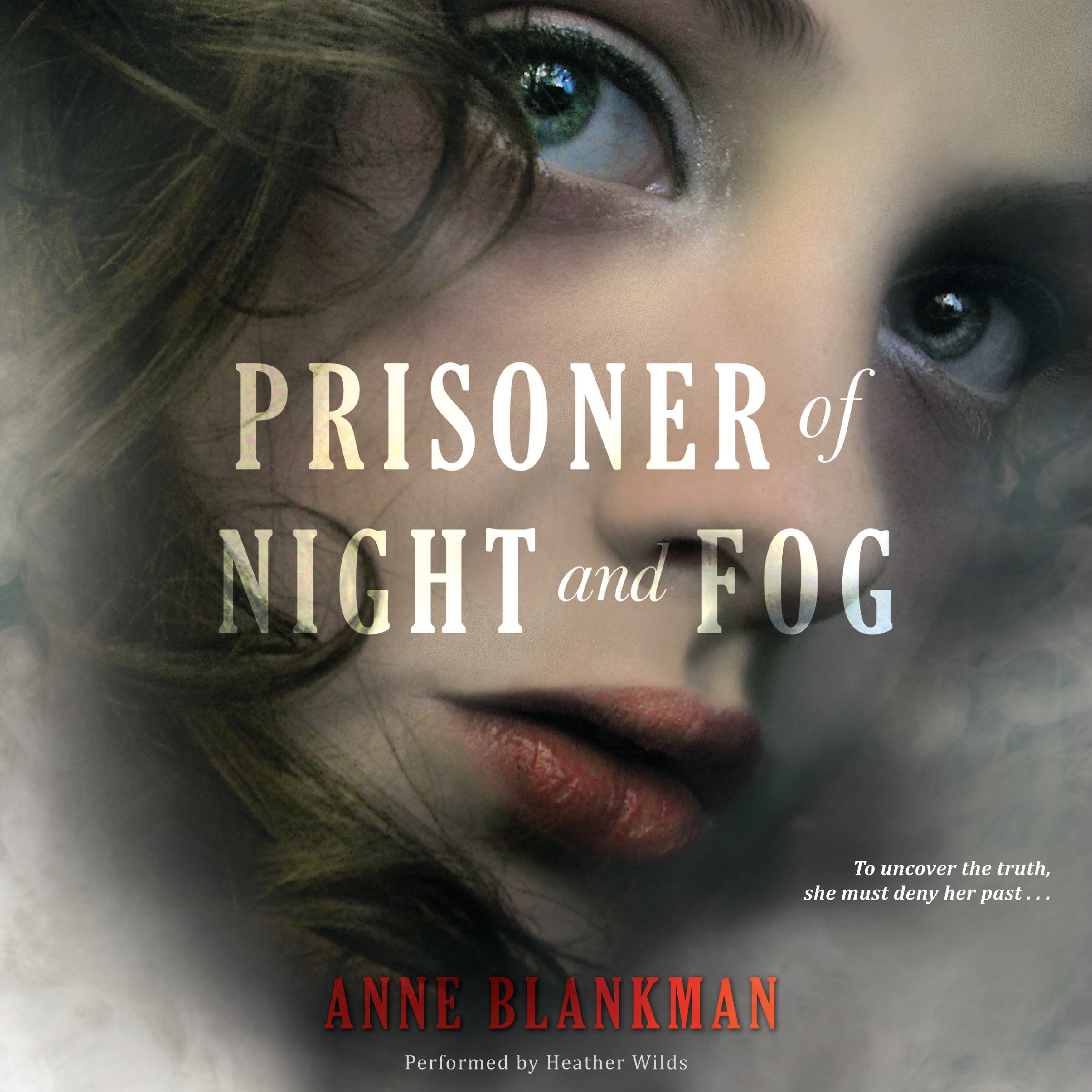 Cover art for Prisoner of Night and Fog